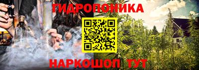 спиды Гай