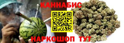 спиды Гай